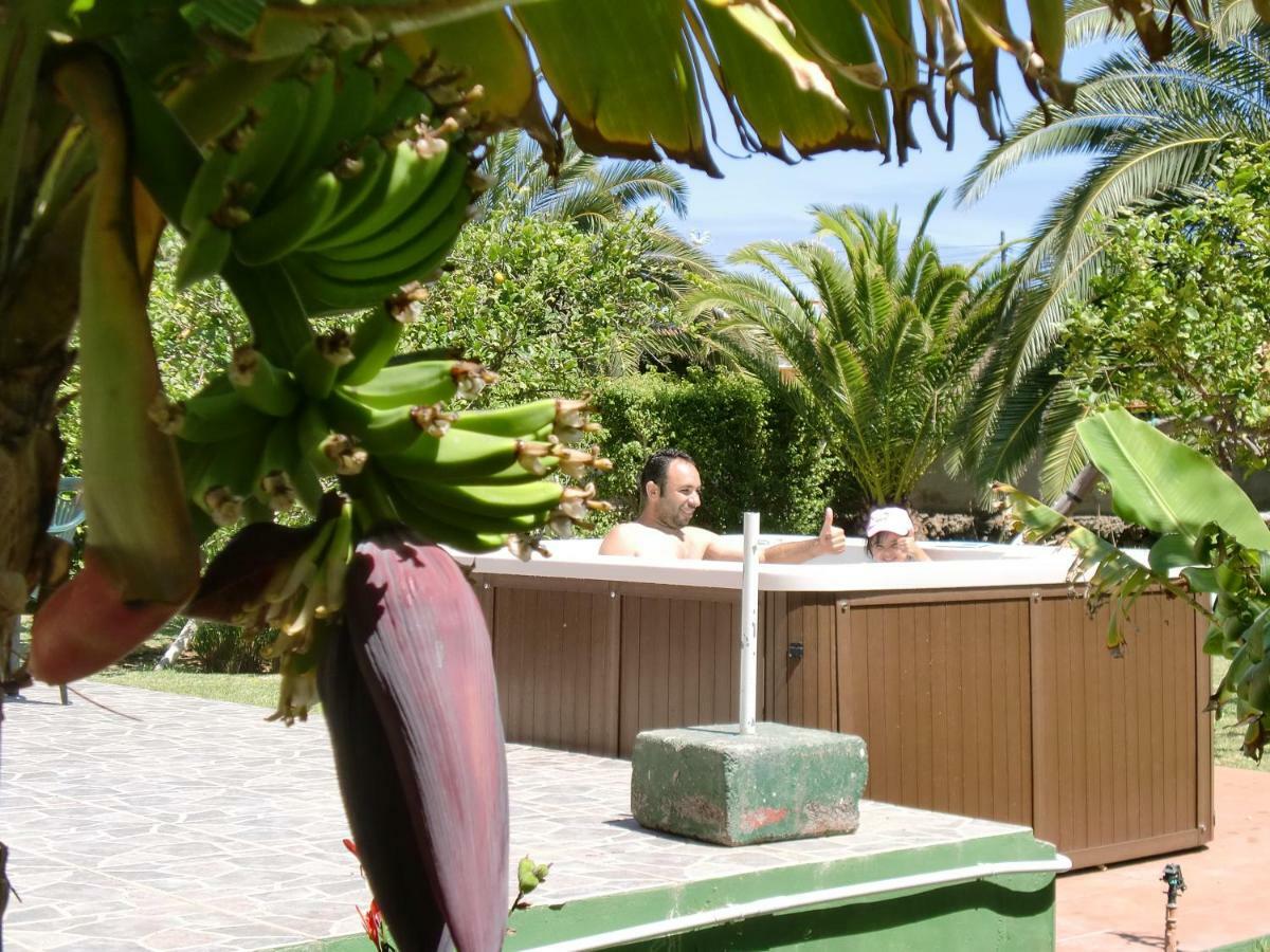 Finca La Gaviota - Los Limoneros Icod De Los Vinos Luaran gambar